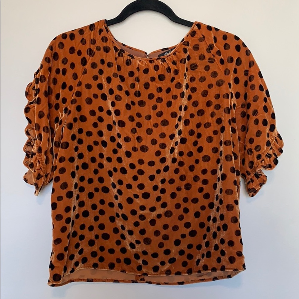 Madewell velvet leopard print blouse